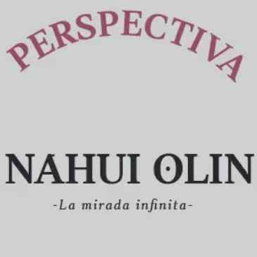 Perspectiva curvilinea