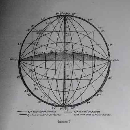 Perspectiva curvilinea