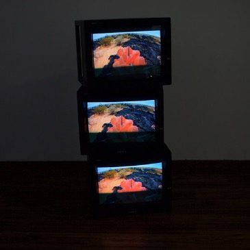 Screensavers