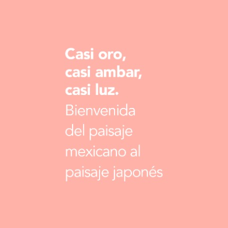Bienvenida del paisaje mexicano al paisaje japonés.