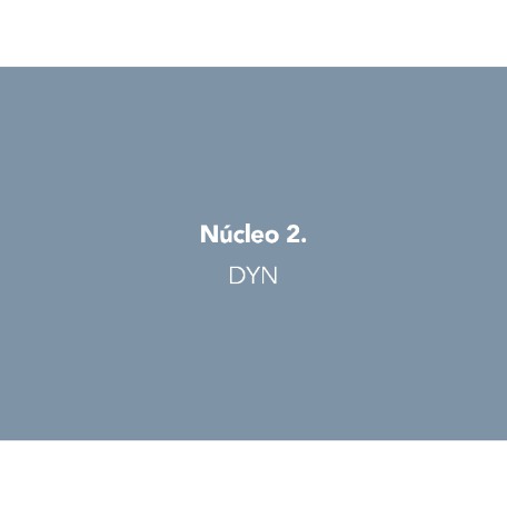 Núcleo 2. DYN