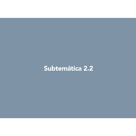 Subtemática 2.2